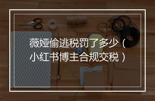 薇娅偷逃税罚了多少（小红书博主合规交税）