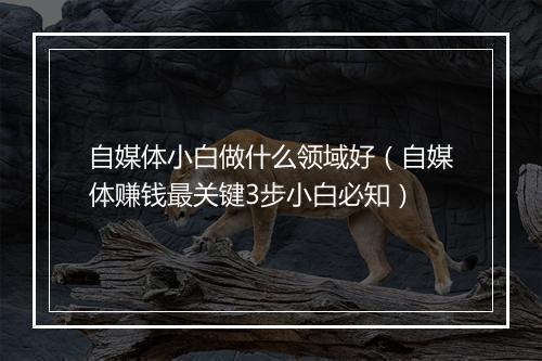 自媒体小白做什么领域好（自媒体赚钱最关键3步小白必知）