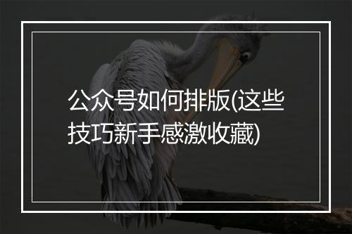 公众号如何排版(这些技巧新手感激收藏)