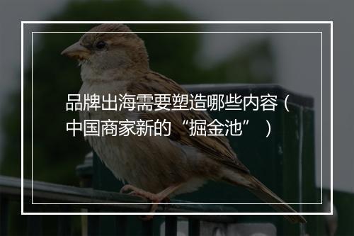 品牌出海需要塑造哪些内容（中国商家新的“掘金池”）