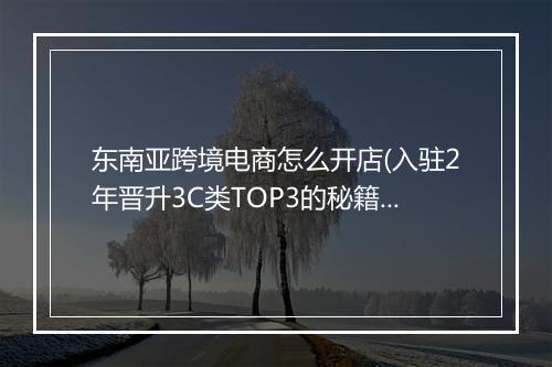 东南亚跨境电商怎么开店(入驻2年晋升3C类TOP3的秘籍）