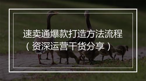 速卖通爆款打造方法流程（资深运营干货分享）