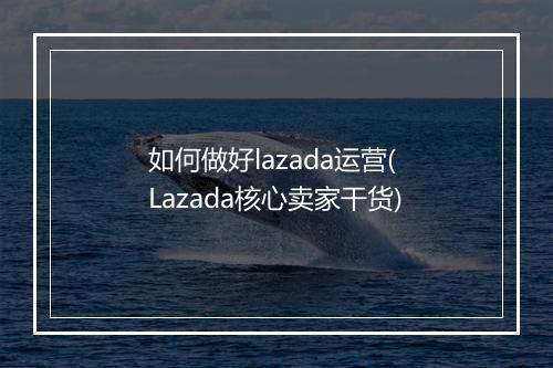 如何做好lazada运营( Lazada核心卖家干货)