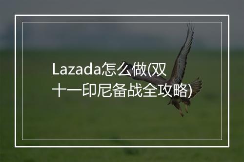Lazada怎么做(双十一印尼备战全攻略)