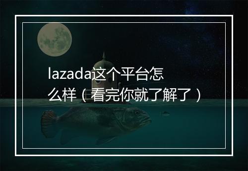 lazada这个平台怎么样（看完你就了解了）