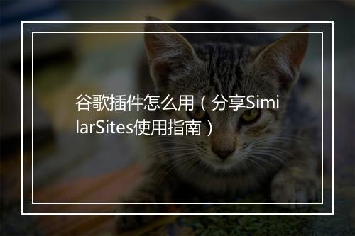 谷歌插件怎么用（分享SimilarSites使用指南）