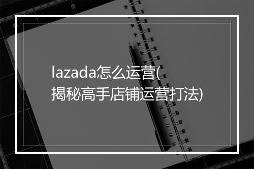 lazada怎么运营(揭秘高手店铺运营打法)