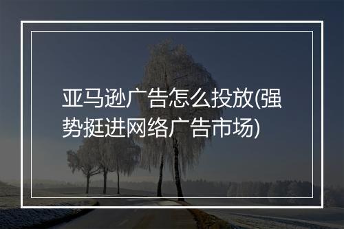 亚马逊广告怎么投放(强势挺进网络广告市场)