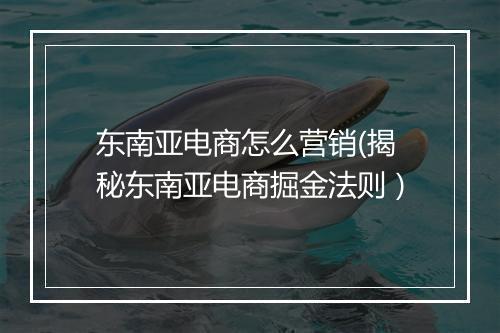 东南亚电商怎么营销(揭秘东南亚电商掘金法则）