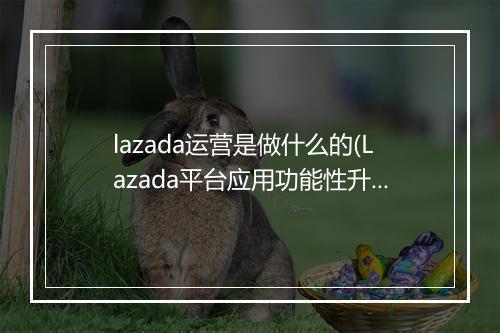 lazada运营是做什么的(Lazada平台应用功能性升级)