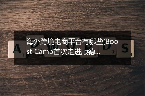 海外跨境电商平台有哪些(Boost Camp首次走进顺德小家电产业带)