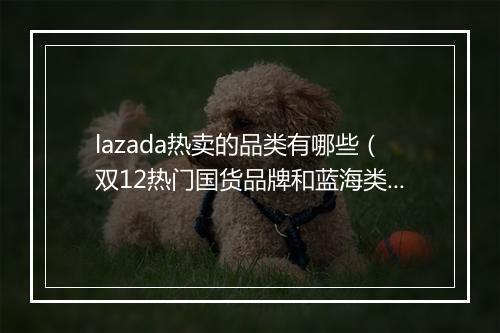lazada热卖的品类有哪些（双12热门国货品牌和蓝海类目解析）
