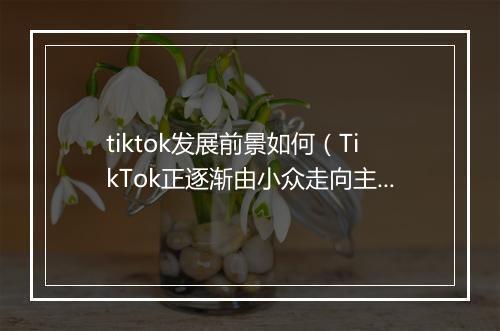 tiktok发展前景如何（TikTok正逐渐由小众走向主流）
