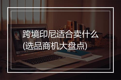 跨境印尼适合卖什么(选品商机大盘点)