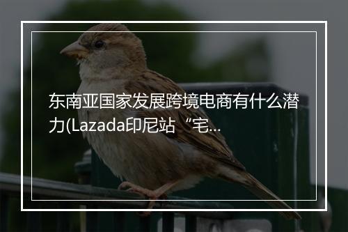 东南亚国家发展跨境电商有什么潜力(Lazada印尼站“宅经济“备战指南)
