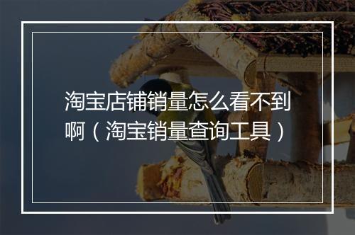 淘宝店铺销量怎么看不到啊（淘宝销量查询工具）