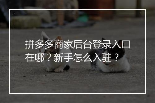 拼多多商家后台登录入口在哪？新手怎么入驻？