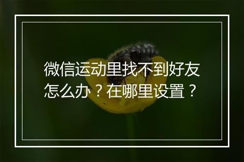微信运动里找不到好友怎么办？在哪里设置？