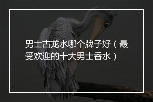 男士古龙水哪个牌子好（最受欢迎的十大男士香水）