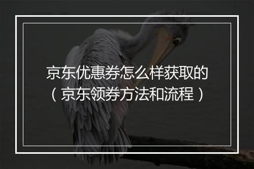 京东优惠券怎么样获取的（京东领券方法和流程）