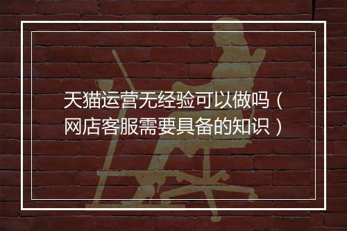 天猫运营无经验可以做吗（网店客服需要具备的知识）