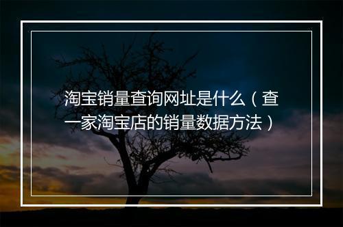 淘宝销量查询网址是什么（查一家淘宝店的销量数据方法）