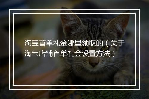 淘宝首单礼金哪里领取的（关于淘宝店铺首单礼金设置方法）