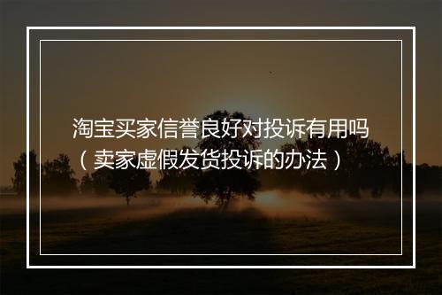 淘宝买家信誉良好对投诉有用吗（卖家虚假发货投诉的办法）