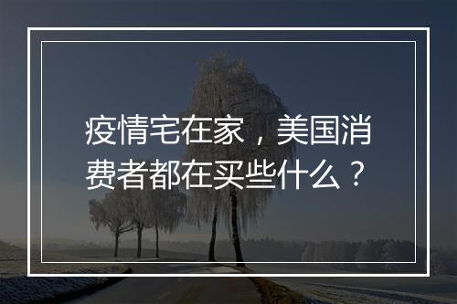 疫情宅在家，美国消费者都在买些什么？