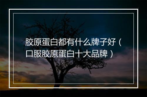 胶原蛋白都有什么牌子好（口服胶原蛋白十大品牌）