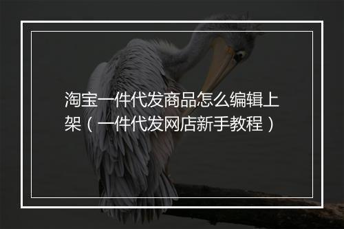 淘宝一件代发商品怎么编辑上架（一件代发网店新手教程）