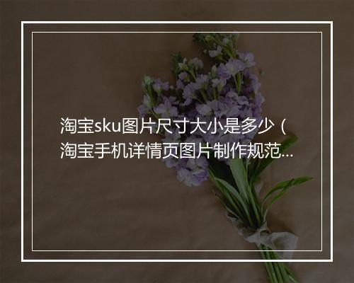 淘宝sku图片尺寸大小是多少（淘宝手机详情页图片制作规范）