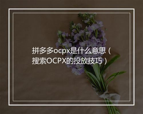 拼多多ocpx是什么意思（搜索OCPX的投放技巧）