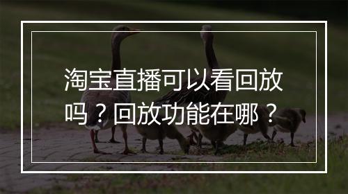 淘宝直播可以看回放吗？回放功能在哪？
