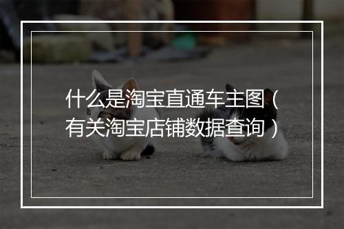 什么是淘宝直通车主图（有关淘宝店铺数据查询）
