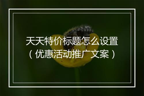 天天特价标题怎么设置（优惠活动推广文案）