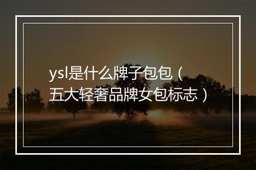ysl是什么牌子包包（五大轻奢品牌女包标志）