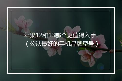 苹果12和13哪个更值得入手（公认最好的手机品牌型号）