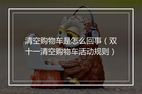 清空购物车是怎么回事（双十一清空购物车活动规则）