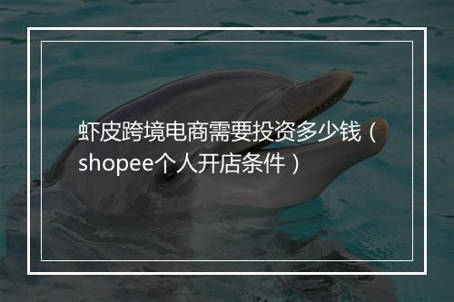 虾皮跨境电商需要投资多少钱（shopee个人开店条件）
