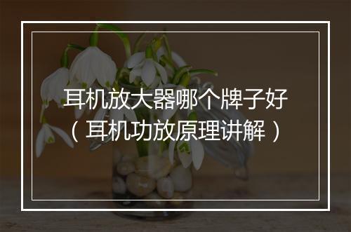 耳机放大器哪个牌子好（耳机功放原理讲解）