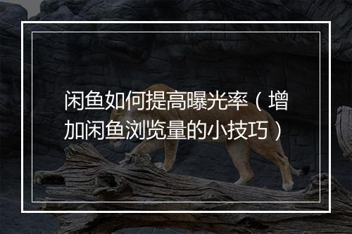 闲鱼如何提高曝光率（增加闲鱼浏览量的小技巧）