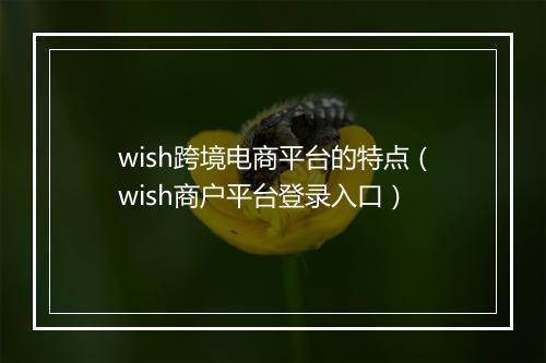 wish跨境电商平台的特点（wish商户平台登录入口）