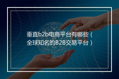 垂直b2b电商平台有哪些（全球知名的B2B交易平台）
