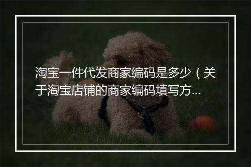 淘宝一件代发商家编码是多少（关于淘宝店铺的商家编码填写方式）