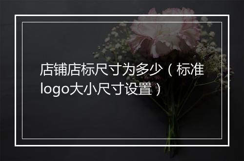 店铺店标尺寸为多少（标准logo大小尺寸设置）