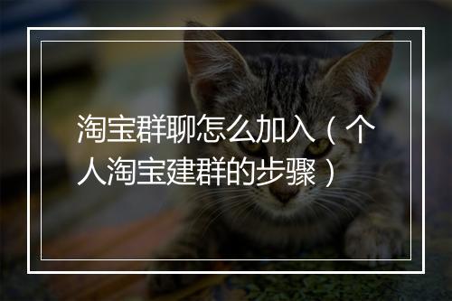 淘宝群聊怎么加入（个人淘宝建群的步骤）