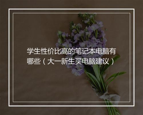 学生性价比高的笔记本电脑有哪些（大一新生买电脑建议）
