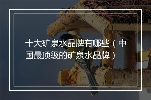 十大矿泉水品牌有哪些（中国最顶级的矿泉水品牌）