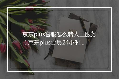 京东plus客服怎么转人工服务（京东plus会员24小时客服联系）